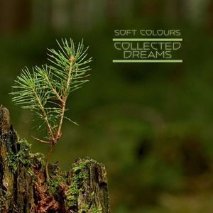 国产精品视频入口麻豆
