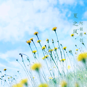 国产精品视频入口麻豆
