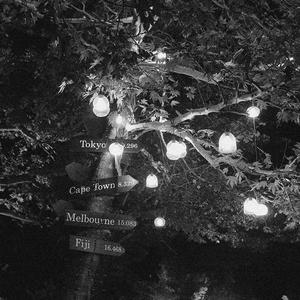 国产精品视频入口麻豆
