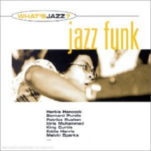 国产精品视频入口麻豆
