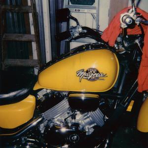 国产精品视频入口麻豆
