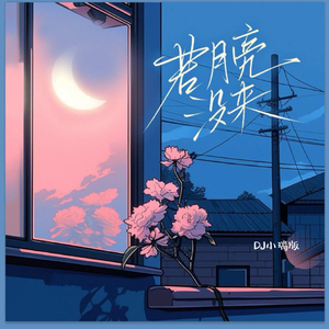 国产精品视频入口麻豆
