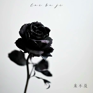 国产精品视频入口麻豆
