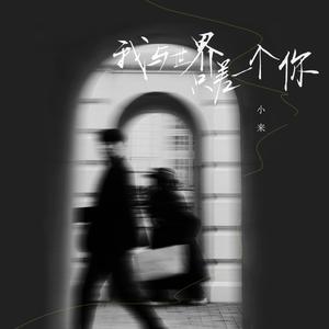 国产精品视频入口麻豆
