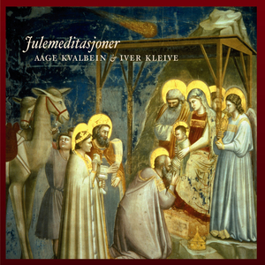 国产精品视频入口麻豆
