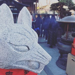 国产精品视频入口麻豆
