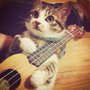 国产精品视频入口麻豆
