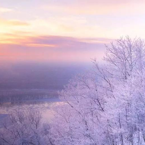 国产精品视频入口麻豆

