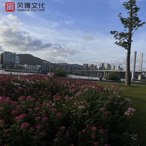 国产精品视频入口麻豆
